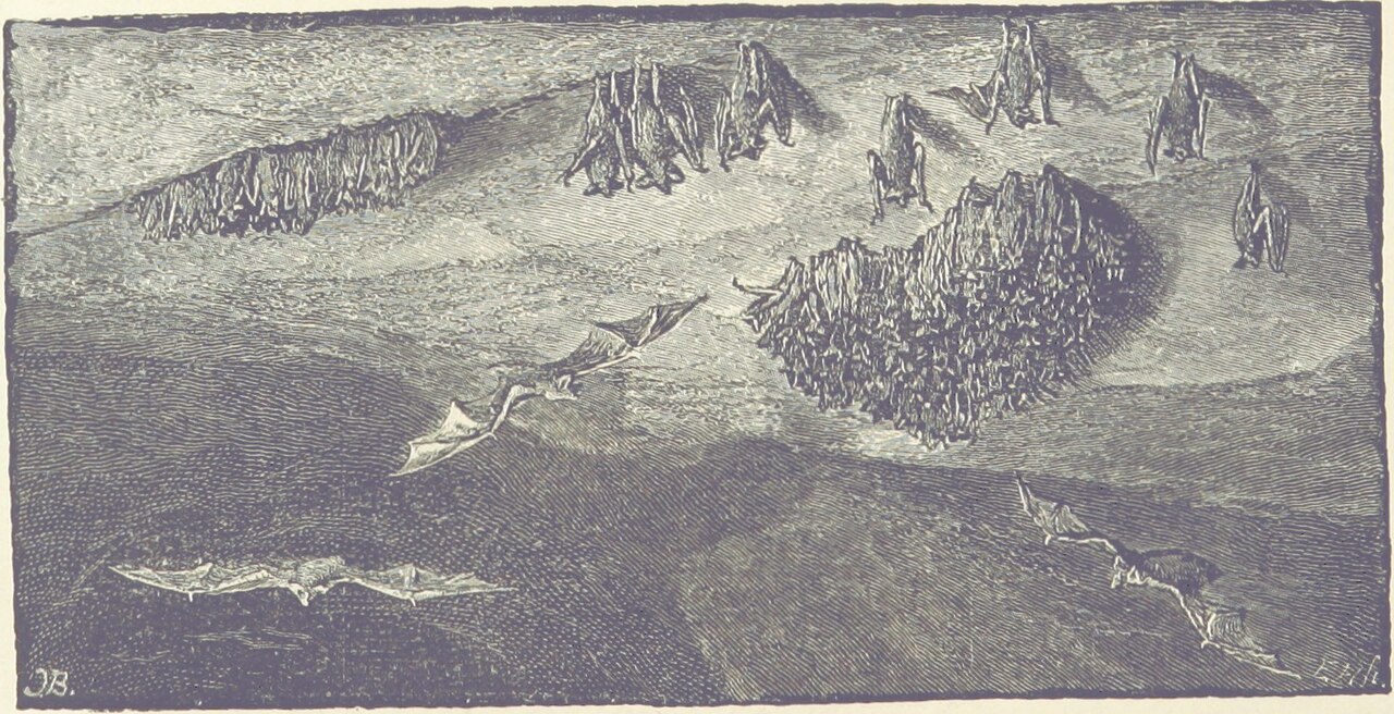 Book of Caverns